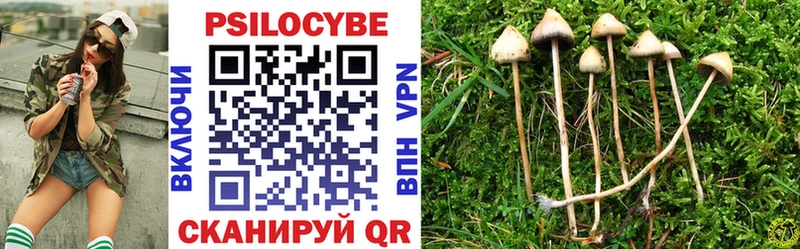где купить наркотик  Шумерля  Псилоцибиновые грибы Psilocybe 