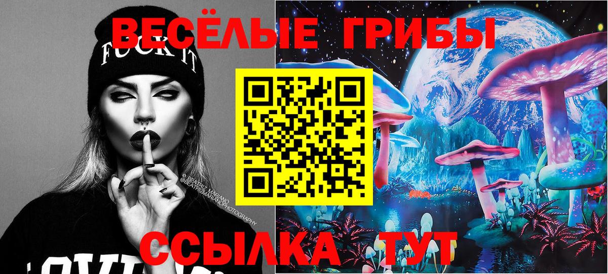 Шумерля  Галлюциногенные грибы прущие грибы  Вход с VPN  Псилоцибиновые грибы Psilocybe 