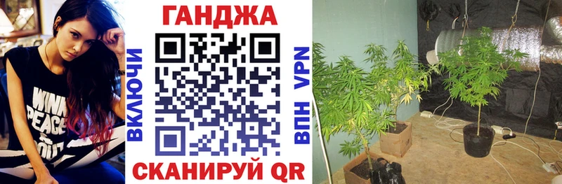Конопля планчик  Шумерля 